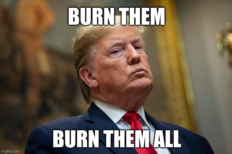 Trump Mad King | BURN THEM; BURN THEM ALL | image tagged in donald trump the clown | made w/ Imgflip meme maker