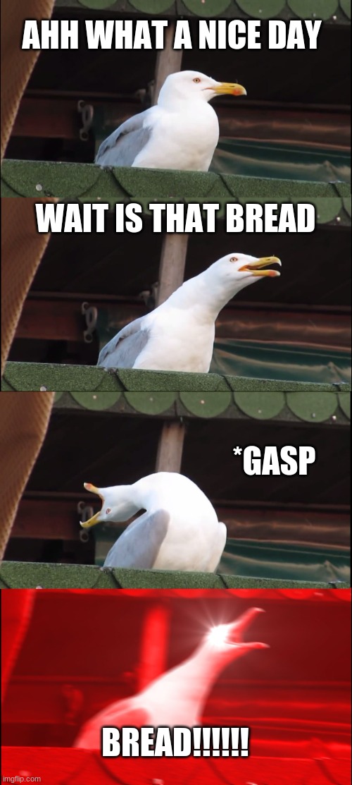 sorry if the meme meme bad | AHH WHAT A NICE DAY; WAIT IS THAT BREAD; *GASP; BREAD!!!!!! | image tagged in memes,inhaling seagull | made w/ Imgflip meme maker