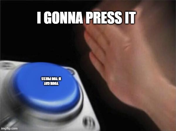 Blank Nut Button | I GONNA PRESS IT; YOUR GAY IF YOU PRESS | image tagged in memes,blank nut button | made w/ Imgflip meme maker