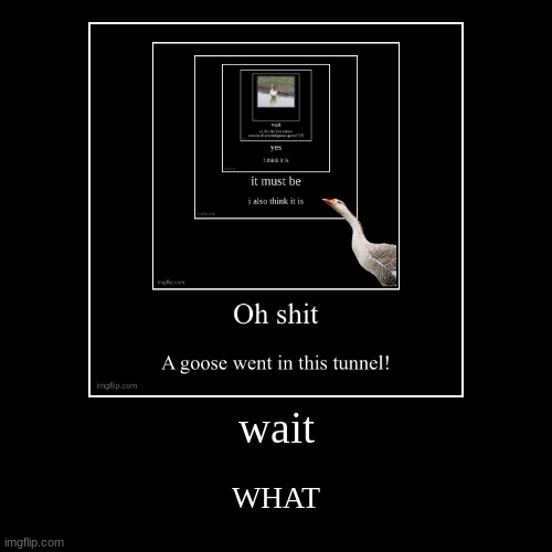 image tagged in funny,demotivationals | made w/ Imgflip demotivational maker
