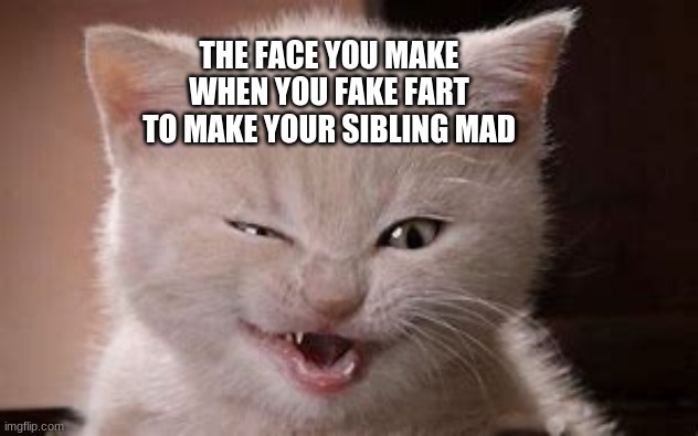 THE FACE YOU MAKE WHEN YOU FAKE FART TO MAKE YOUR SIBLING MAD | image tagged in cats,meme,weird face | made w/ Imgflip meme maker