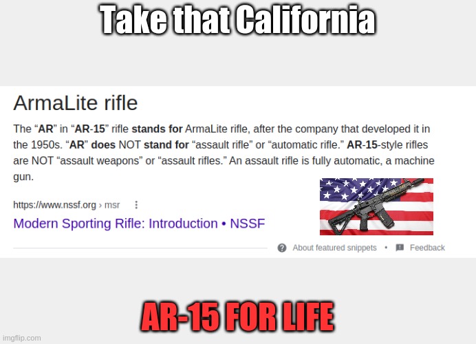Right here from the National Shooting Sports Foundation | Take that California; AR-15 FOR LIFE | image tagged in hell yeah | made w/ Imgflip meme maker