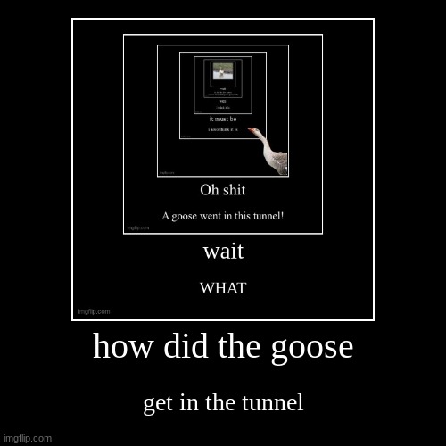 image tagged in funny,demotivationals | made w/ Imgflip demotivational maker
