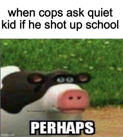 perhaps | when cops ask quiet kid if he shot up school | image tagged in perhaps cow,memes,funny | made w/ Imgflip meme maker