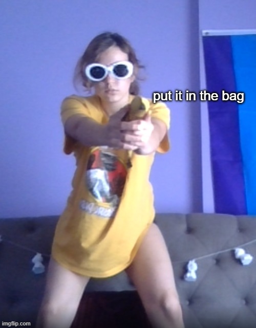 put it in the bag | image tagged in put it in the bag | made w/ Imgflip meme maker