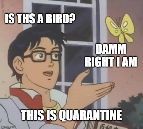 bird??? | IS THS A BIRD? DAMM RIGHT I AM; THIS IS QUARANTINE | image tagged in memes,is this a pigeon | made w/ Imgflip meme maker