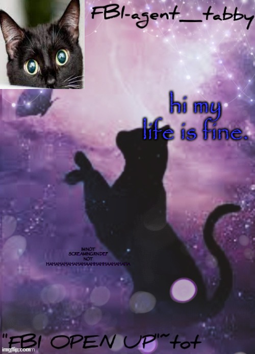 IM FINE NOT SCREAMING HAHAHA | hi my life is fine. IM NOT SCREAMING RN DEF NOT HAHAHAHAHAHAHAAHHAHHAAHAHAHA | made w/ Imgflip meme maker