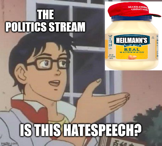 These salty-ass condiments are too much, smhhhh |  THE POLITICS STREAM; HEILMANN'S; IS THIS HATESPEECH? | image tagged in memes,is this a pigeon | made w/ Imgflip meme maker
