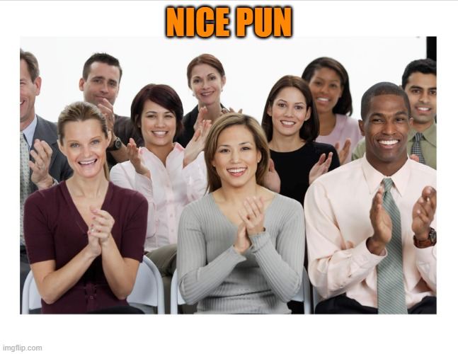 People Clapping | NICE PUN | image tagged in people clapping | made w/ Imgflip meme maker