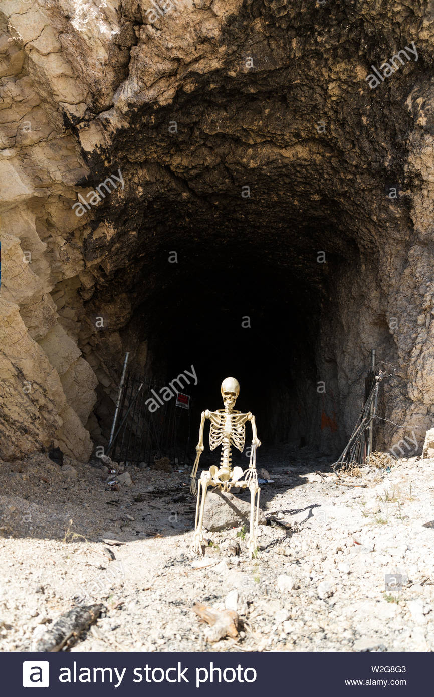 High Quality Hole In Ground Skeleton Blank Meme Template