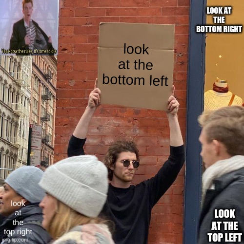 LOOK AT THE BOTTOM RIGHT; look at the bottom left; look at the top right; LOOK AT THE TOP LEFT | image tagged in memes,guy holding cardboard sign | made w/ Imgflip meme maker