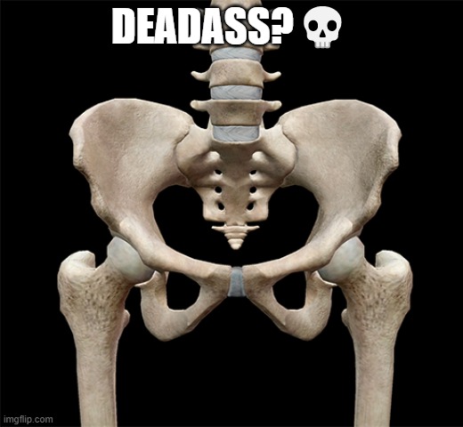 a dead ass | DEADASS?💀 | image tagged in funny | made w/ Imgflip meme maker