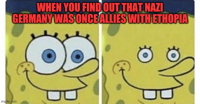 Sponge bob small eyes |  WHEN YOU FIND OUT THAT NAZI GERMANY WAS ONCE ALLIES WITH ETHOPIA | image tagged in sponge bob small eyes,canada,germany,ethopia,novascotia,spongebob | made w/ Imgflip meme maker