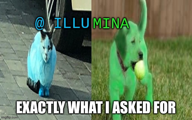 Yay, green dogs and blue cats | EXACTLY WHAT I ASKED FOR | image tagged in illumina new temp | made w/ Imgflip meme maker