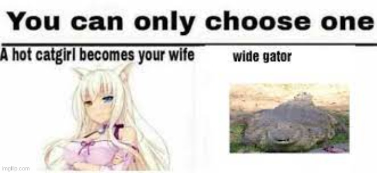 pick one and be honest | image tagged in crusader,you can only pick one | made w/ Imgflip meme maker