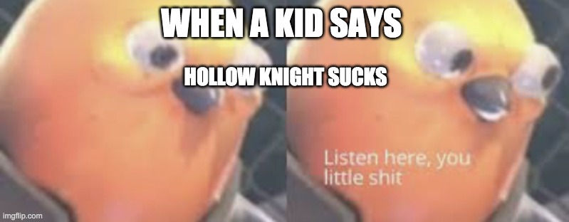 Listen here you little shit bird | WHEN A KID SAYS; HOLLOW KNIGHT SUCKS | image tagged in listen here you little shit bird | made w/ Imgflip meme maker