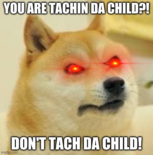 angry doge | YOU ARE TACHIN DA CHILD?! DON'T TACH DA CHILD! | image tagged in angry doge | made w/ Imgflip meme maker