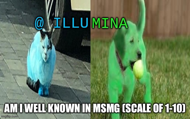 illumina new temp | AM I WELL KNOWN IN MSMG (SCALE OF 1-10) | image tagged in illumina new temp | made w/ Imgflip meme maker