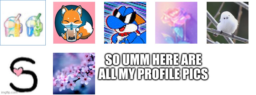 ....feel free to copy one | SO UMM HERE ARE ALL MY PROFILE PICS | image tagged in this is a tag | made w/ Imgflip meme maker