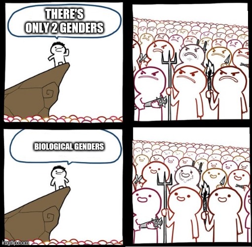 Angry Crowd | THERE'S ONLY 2 GENDERS; BIOLOGICAL GENDERS | image tagged in angry crowd | made w/ Imgflip meme maker