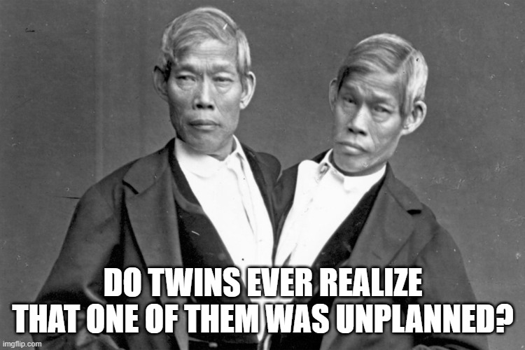 twins | DO TWINS EVER REALIZE THAT ONE OF THEM WAS UNPLANNED? | image tagged in facts | made w/ Imgflip meme maker