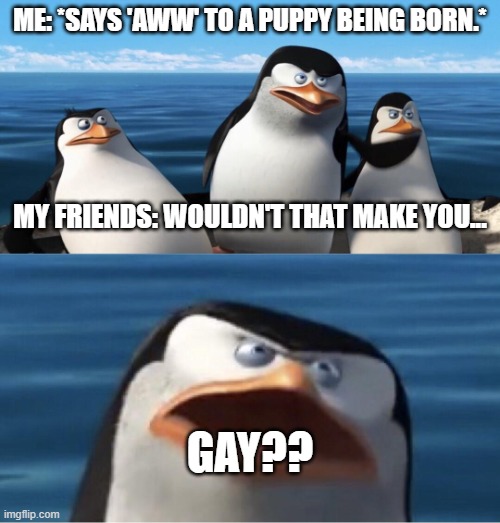 Wouldn't that make you | ME: *SAYS 'AWW' TO A PUPPY BEING BORN.*; MY FRIENDS: WOULDN'T THAT MAKE YOU... GAY?? | image tagged in wouldn't that make you | made w/ Imgflip meme maker