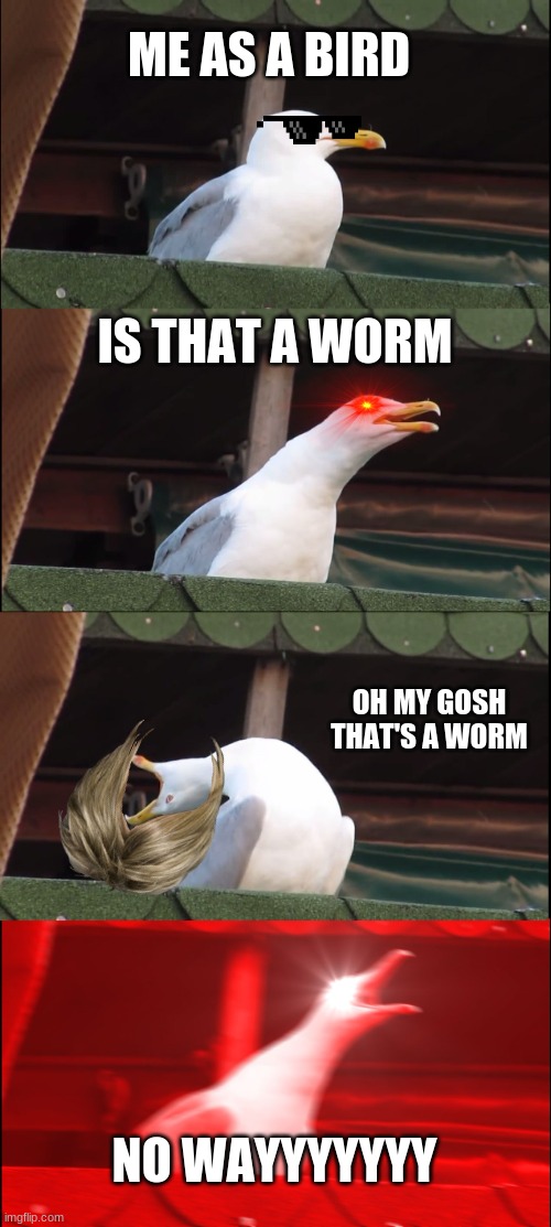 Inhaling Seagull | ME AS A BIRD; IS THAT A WORM; OH MY GOSH THAT'S A WORM; NO WAYYYYYYY | image tagged in memes,inhaling seagull | made w/ Imgflip meme maker