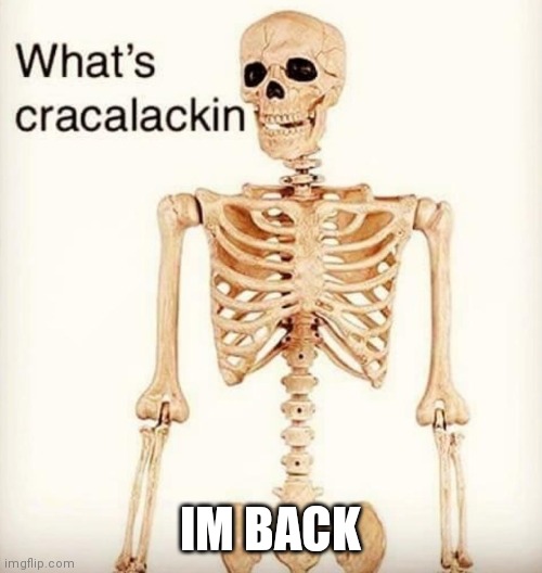 What's cracalackin | IM BACK | image tagged in what's cracalackin | made w/ Imgflip meme maker