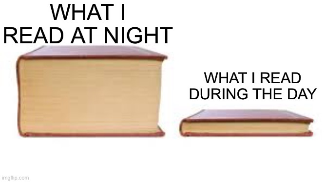 Who can relate? | WHAT I READ AT NIGHT; WHAT I READ DURING THE DAY | image tagged in big book small book,bookworm | made w/ Imgflip meme maker