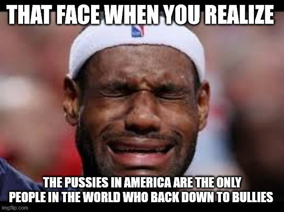 LEBRON JAMES CRY BABY | THAT FACE WHEN YOU REALIZE; THE PUSSIES IN AMERICA ARE THE ONLY PEOPLE IN THE WORLD WHO BACK DOWN TO BULLIES | image tagged in lebron james cry baby,blm terrorists | made w/ Imgflip meme maker