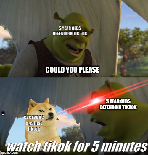 Shrek For Five Minutes | 5 YEAR OLDS DEFENDING TIK TOK; COULD YOU PLEASE; 5 YEAR OLDS DEFENDING TIKTOK; everyone against tiktok; i don't think i will; watch tikok for 5 minutes | image tagged in shrek for five minutes | made w/ Imgflip meme maker