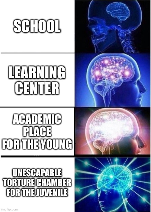 School | SCHOOL; LEARNING CENTER; ACADEMIC PLACE FOR THE YOUNG; UNESCAPABLE TORTURE CHAMBER FOR THE JUVENILE | image tagged in memes,expanding brain,school,school meme | made w/ Imgflip meme maker