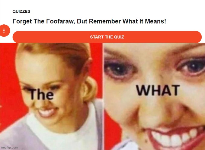 Foofaraw? | image tagged in the what,memes,funny,what on earth | made w/ Imgflip meme maker