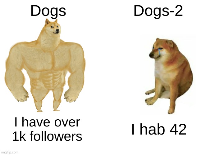 Buff Doge vs. Cheems Meme | Dogs; Dogs-2; I have over 1k followers; I hab 42 | image tagged in memes,buff doge vs cheems | made w/ Imgflip meme maker