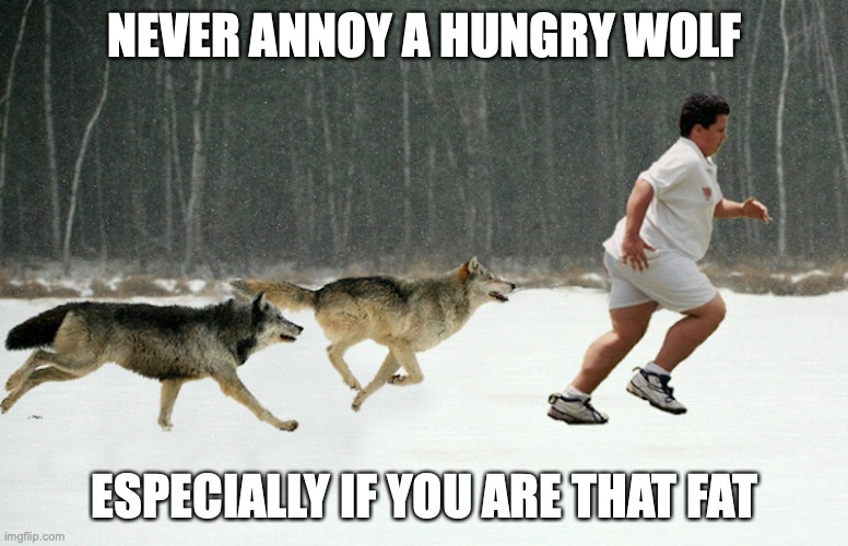 Chasing the Fatty | NEVER ANNOY A HUNGRY WOLF; ESPECIALLY IF YOU ARE THAT FAT | image tagged in wolf,memes | made w/ Imgflip meme maker