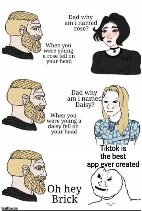 oh hey brick | Tiktok is the best app ever created | image tagged in oh hey brick | made w/ Imgflip meme maker