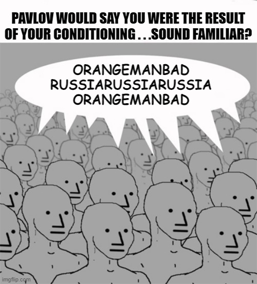 NPCProgramScreed | ORANGEMANBAD RUSSIARUSSIARUSSIA ORANGEMANBAD PAVLOV WOULD SAY YOU WERE THE RESULT OF YOUR CONDITIONING . . .SOUND FAMILIAR? | image tagged in npcprogramscreed | made w/ Imgflip meme maker