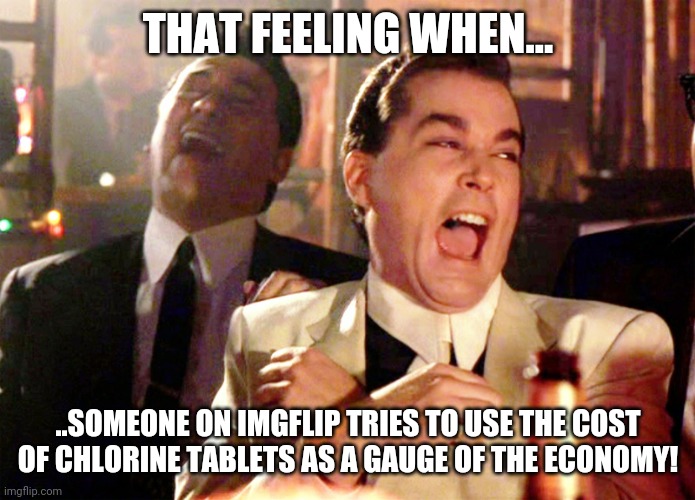 Oh no, the chlorine market is getting ready to crash...better pull out your 401k. | THAT FEELING WHEN... ..SOMEONE ON IMGFLIP TRIES TO USE THE COST OF CHLORINE TABLETS AS A GAUGE OF THE ECONOMY! | image tagged in memes,good fellas hilarious | made w/ Imgflip meme maker