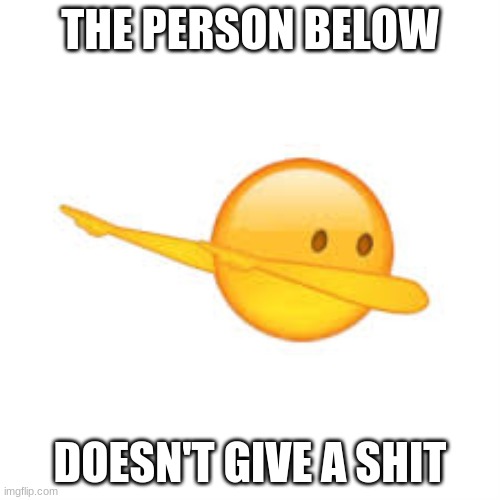 THE PERSON BELOW; DOESN'T GIVE A SHIT | made w/ Imgflip meme maker