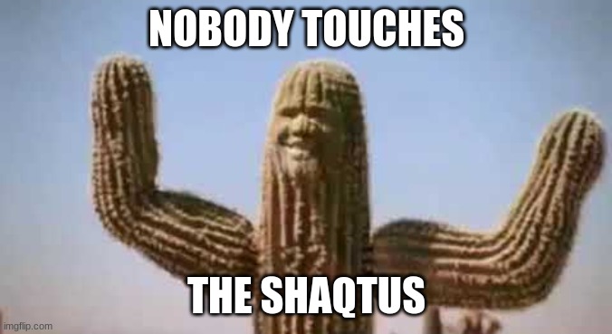 nobody touches the shaqtus | NOBODY TOUCHES; THE SHAQTUS | image tagged in shaqtus | made w/ Imgflip meme maker