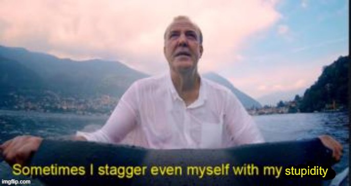 Sometimes I stagger even myself with my stupidity | image tagged in sometimes i stagger even myself with my stupidity | made w/ Imgflip meme maker