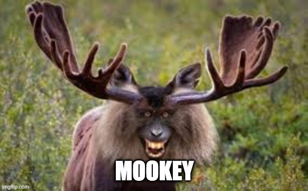 MOOKY | MOOKEY | image tagged in scary | made w/ Imgflip meme maker