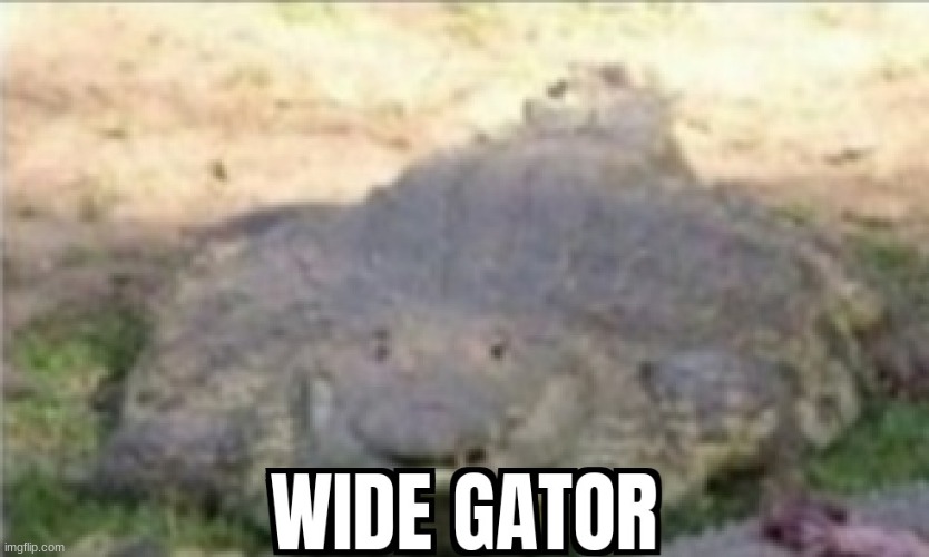 WIDE GATOR | image tagged in wide gator | made w/ Imgflip meme maker