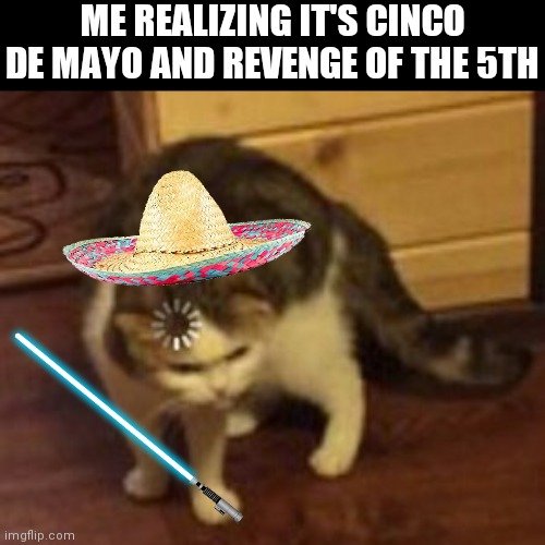 Loading cat | ME REALIZING IT'S CINCO DE MAYO AND REVENGE OF THE 5TH | image tagged in loading cat | made w/ Imgflip meme maker