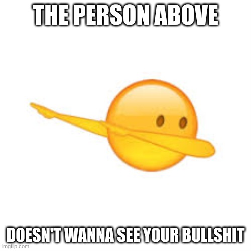 THE PERSON ABOVE; DOESN'T WANNA SEE YOUR BULLSHIT | made w/ Imgflip meme maker
