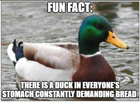 mUsT hAvE bReAd | FUN FACT:; THERE IS A DUCK IN EVERYONE'S STOMACH CONSTANTLY DEMANDING BREAD | image tagged in memes,actual advice mallard,reeee,duck man,lol,bread | made w/ Imgflip meme maker