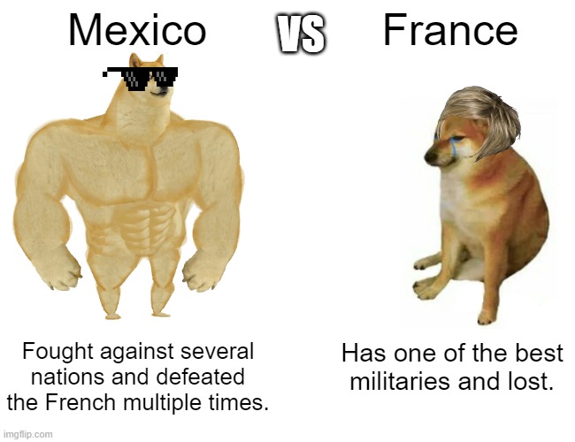 Some school thing | VS; Mexico; France; Fought against several nations and defeated the French multiple times. Has one of the best militaries and lost. | image tagged in memes,buff doge vs cheems | made w/ Imgflip meme maker