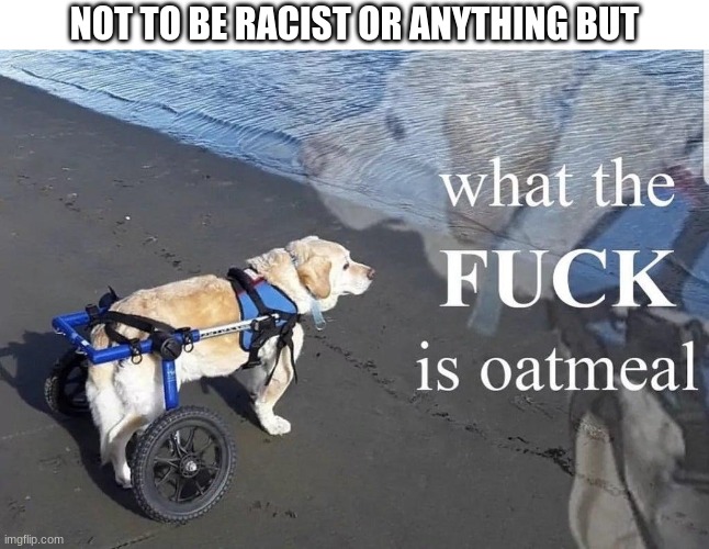 What the f**k is oatmeal | NOT TO BE RACIST OR ANYTHING BUT | image tagged in what the f k is oatmeal | made w/ Imgflip meme maker