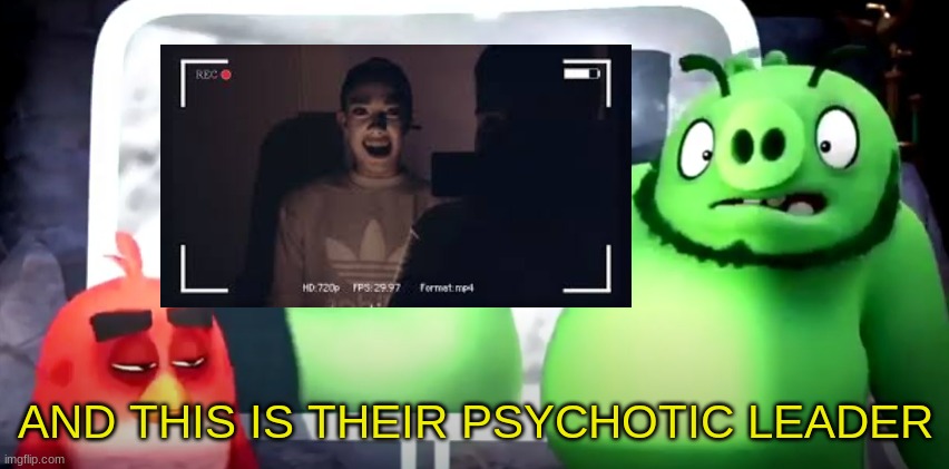 THEIR PSYCHOTIC LEADER | AND THIS IS THEIR PSYCHOTIC LEADER | image tagged in james charles,angry birds,ugly | made w/ Imgflip meme maker