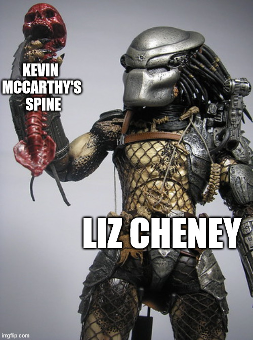 Spineless | KEVIN 
MCCARTHY'S
 SPINE; LIZ CHENEY | image tagged in politics | made w/ Imgflip meme maker